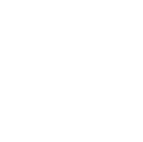 Instagram - Festa do Pinhão 2023